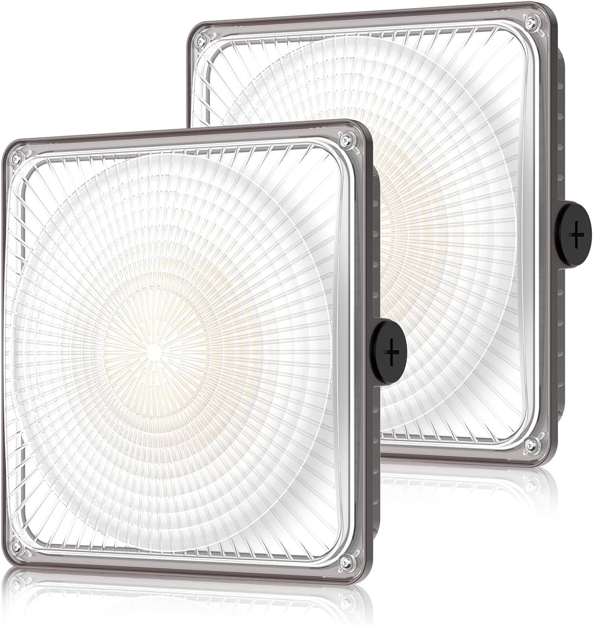 LED Canopy Light 100W 2 pack for outdoor commercial lighting applications