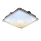 LED Canopy Light - 60/100W 3000/4000/5000K,AC 100-277V