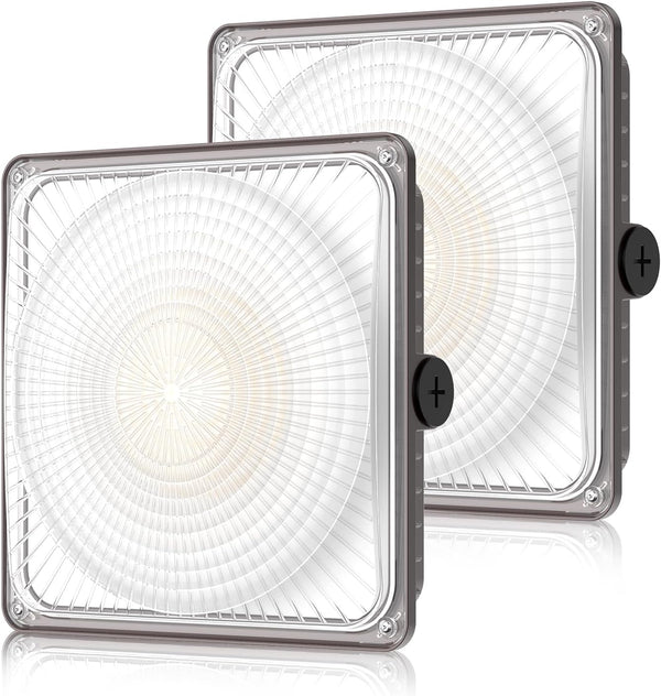 LED Canopy Light 100W 2 pack for outdoor commercial lighting applications