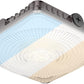 DEMIARE LED Canopy Lights 100W 2pack